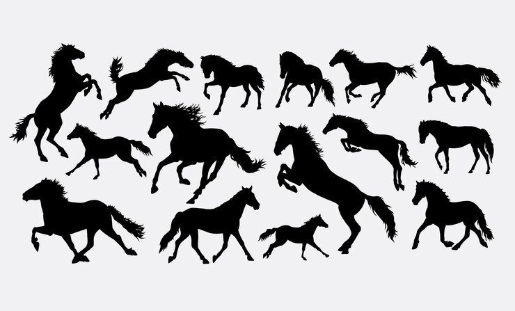 Cavallo in esecuzione e saltando silhouette
