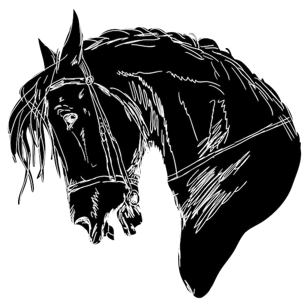 Cavallo nero