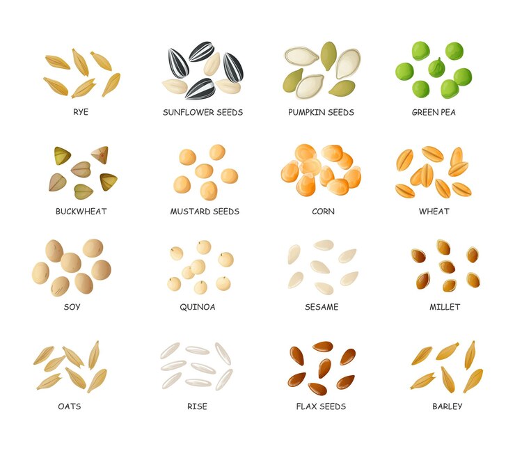 Vettore cereali e cereali in stile cartone animato