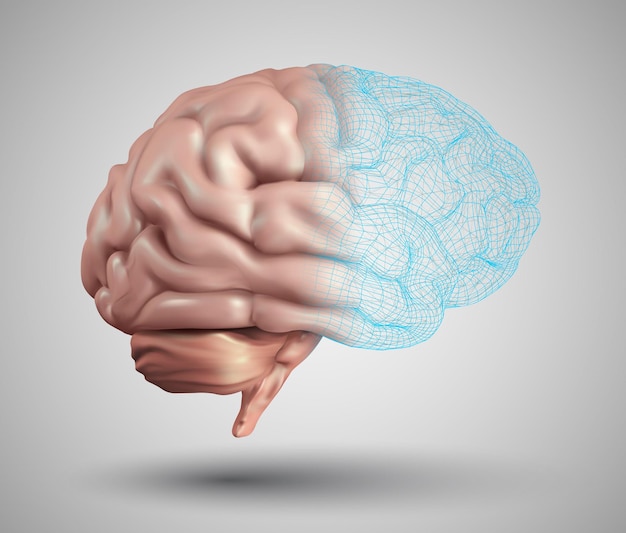 Cervello umano e elementi di design astratti mesh vector