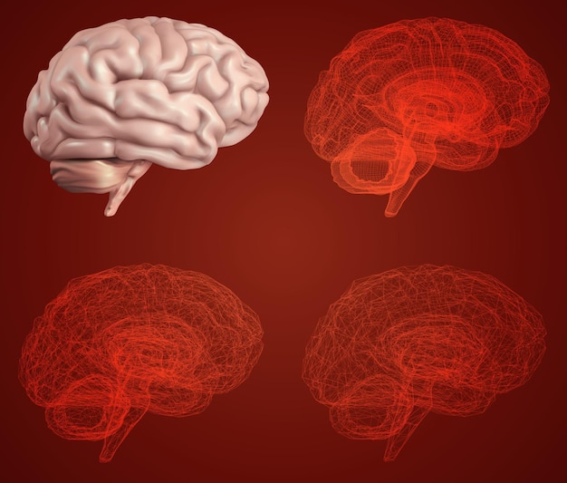 Cervello umano Vector impostato in diversi stili meshe