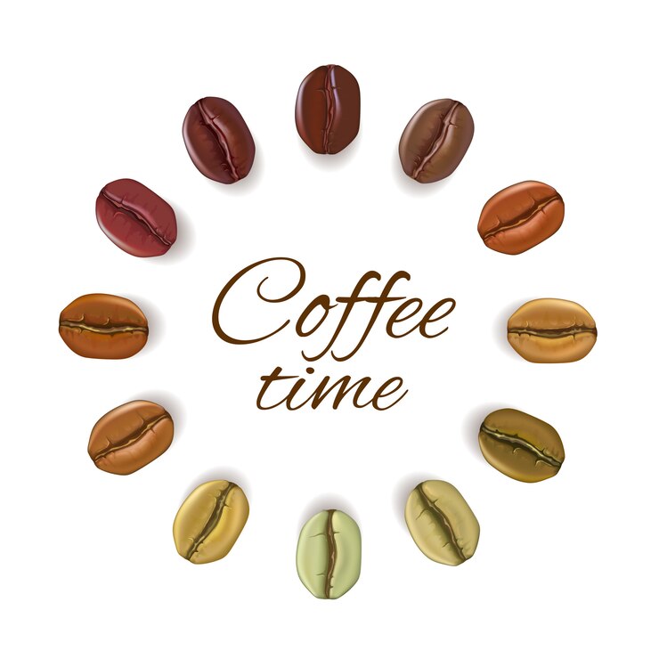 Vettore chicchi di caffè realistici disposti in cerchio con il posto per il testo