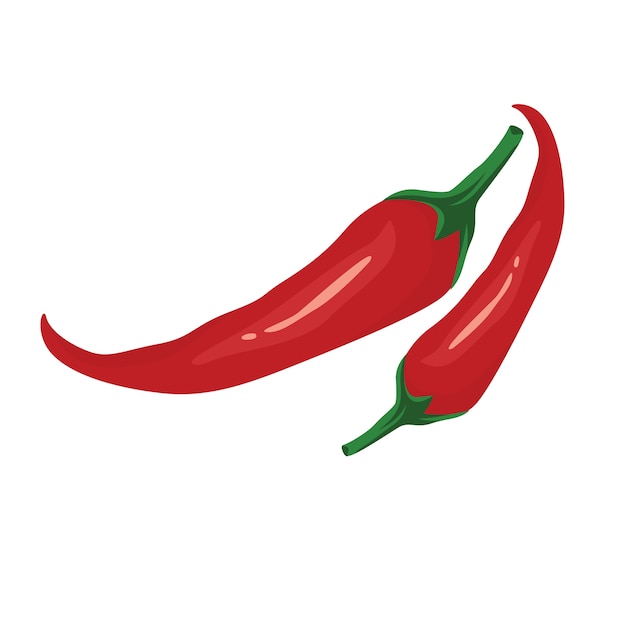 Chili Red Pepper Vector