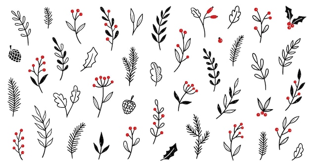 Christmas plant leaf flower vintage set Hand drawn doodle sketch holly floral xmas tree leaves