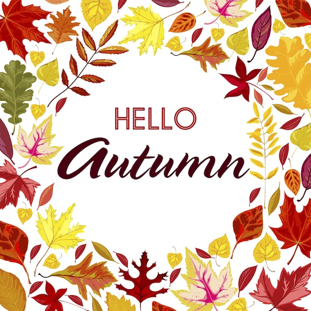 Ciao banner autunnale con fogliame secco colorato