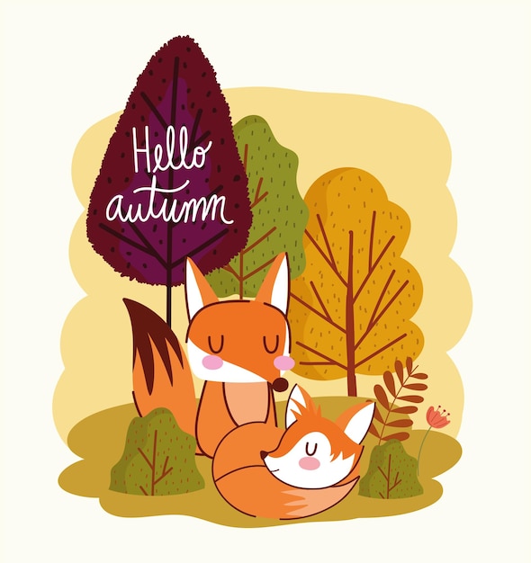 Ciao coppia autunnale volpi