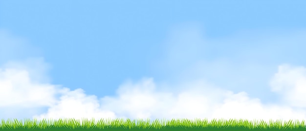 Cielo con nuvole e paesaggio di erba verde