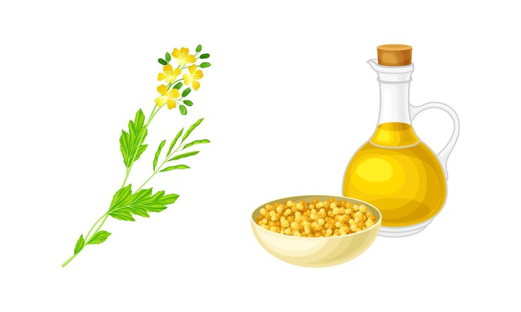 Vettore ciotola di piante di senape con semi e olio in barattolo di vetro set di prodotto naturale biologico sano vettore