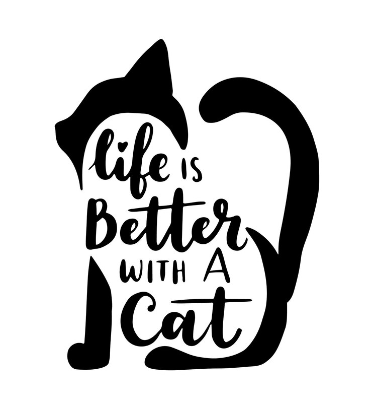Vettore citazioni ispiratrici su gatti e animali domestici. frasi scritte a mano.