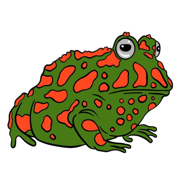 Clip art disegnato a mano della rana
