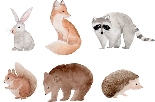 Clipart animali del bosco