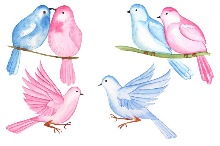 Vettore clipart dell'uccello della coppia di san valentino dell'acquerello, illustrazione sveglia dell'uccello di amore del biglietto di s. valentino