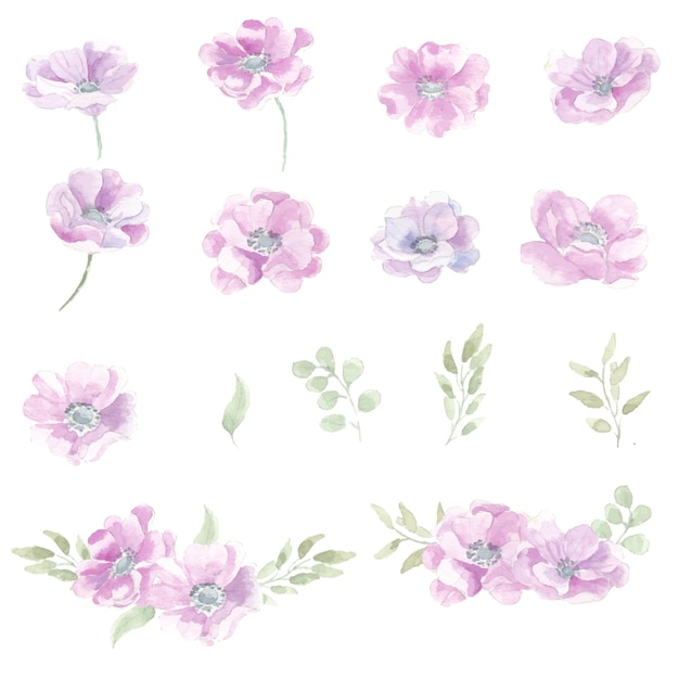 Clipart di fiori e foglie dell'acquerello di anemone viola