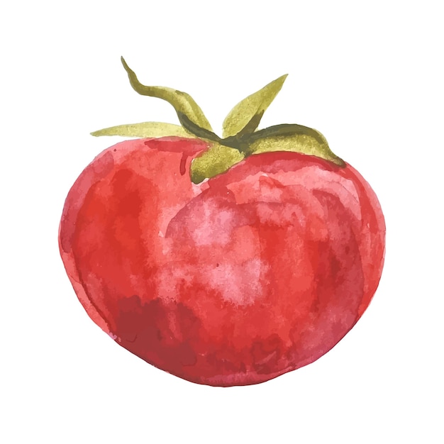 Clipart di pomodoro vegetale disegnato a mano ad acquerello