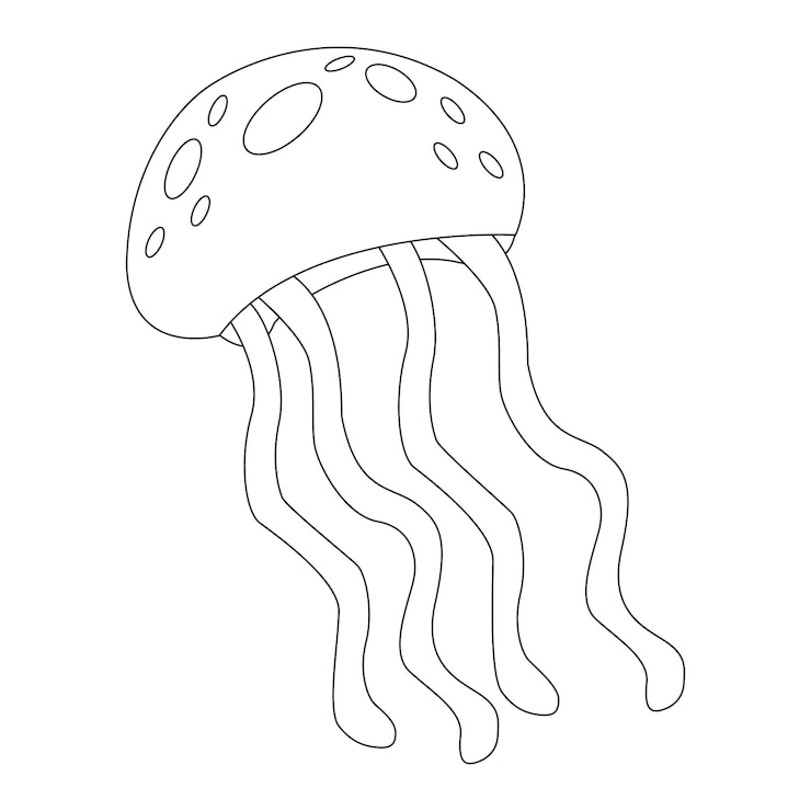 Clipart di vita acquatica contorno animali marini clipart meduse