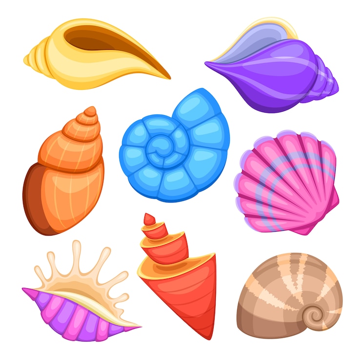 Vettore cockleshells dell'oceano. collezione di conchiglie di fumetto vettoriale. illustrazione di cockleshells del mare