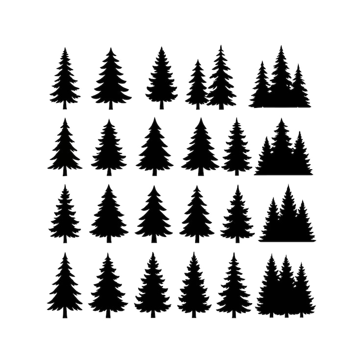 Vettore collection of black silhouette evergreen trees