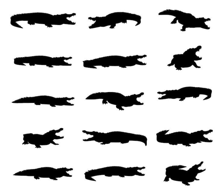 Vettore collection of crocodiles silhouette in various poses