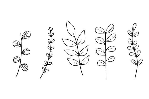 Collezione botanica disegnata a mano di ramoscelli con foglie