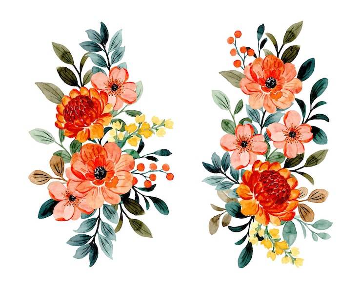Vettore collezione bouquet floreale con acquerello