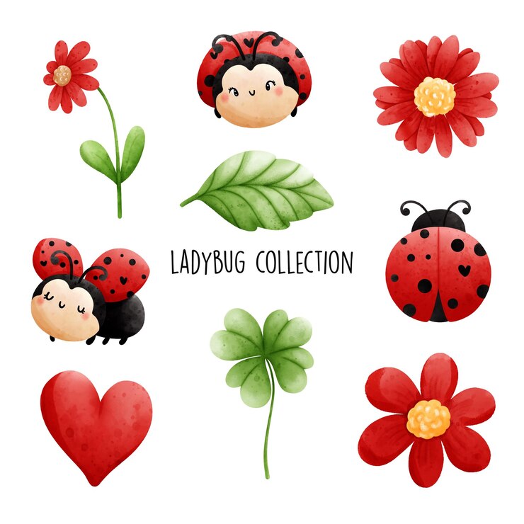 Collezione coccinella Illustrazione vettoriale