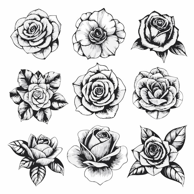 Collezione d'arte a linea di fiori di rosa disegnati a mano