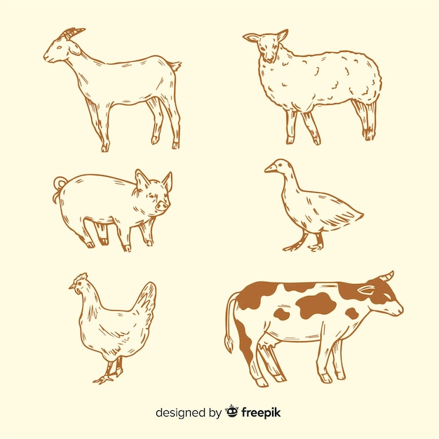 Collezione di animali da fattoria in mano stile disegnato