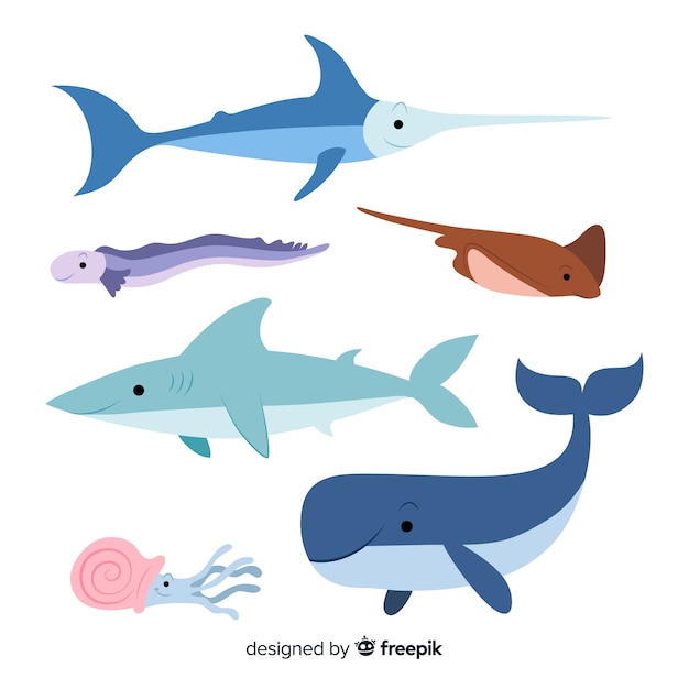 Collezione di animali marini disegnati a mano