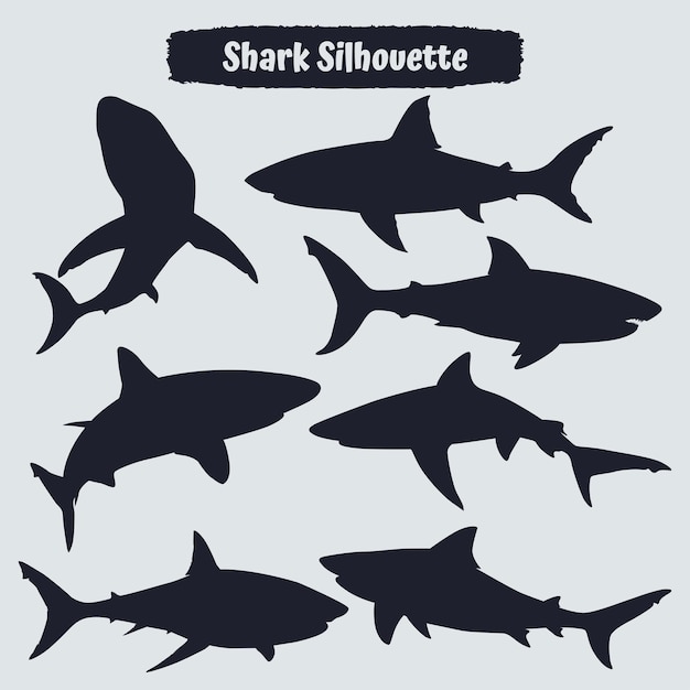 Collezione di animali Shark Silhouette in diverse pose