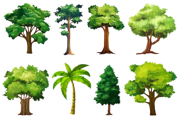 collezione di cartoni animati di pittura ad albero