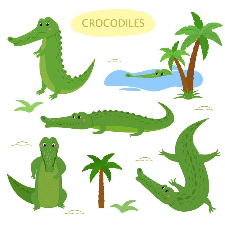 Vettore collezione di coccodrilli verde cartone animato