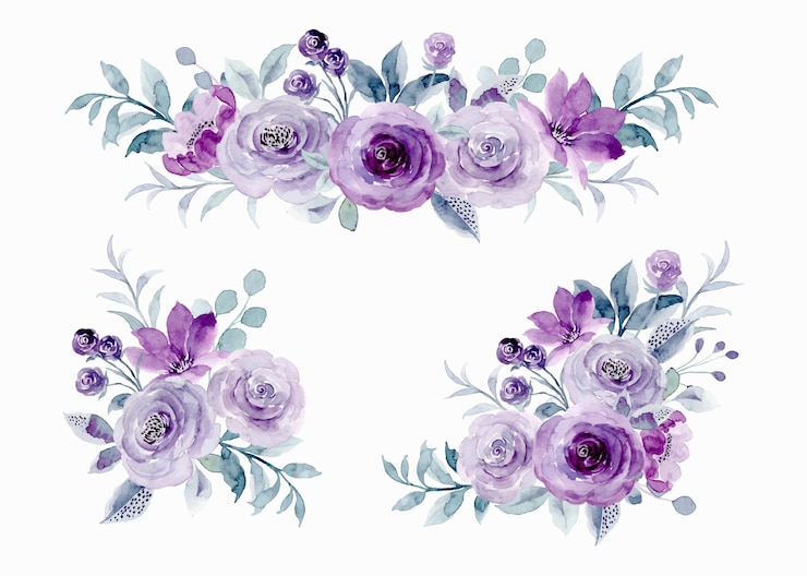 Vettore collezione di composizioni floreali di rose viola con acquerello