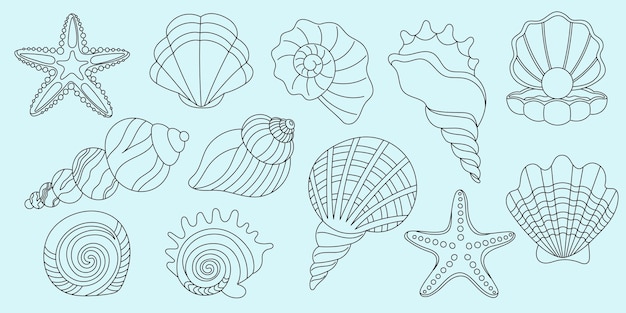 Collezione di conchiglie disegnate a mano
