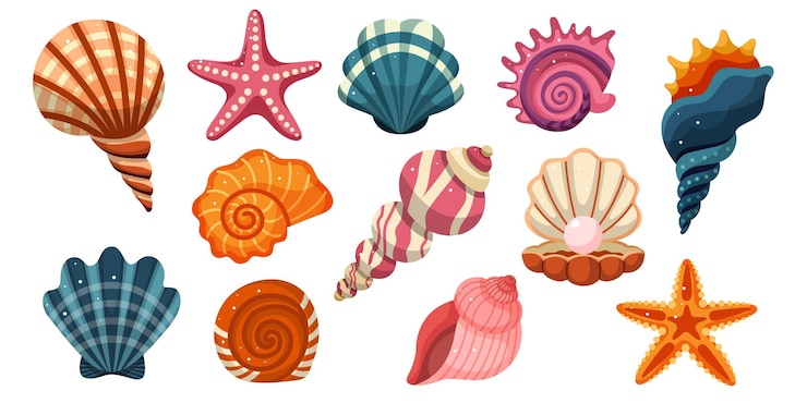 Vettore collezione di conchiglie