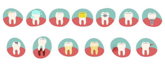 Collezione di denti 4
