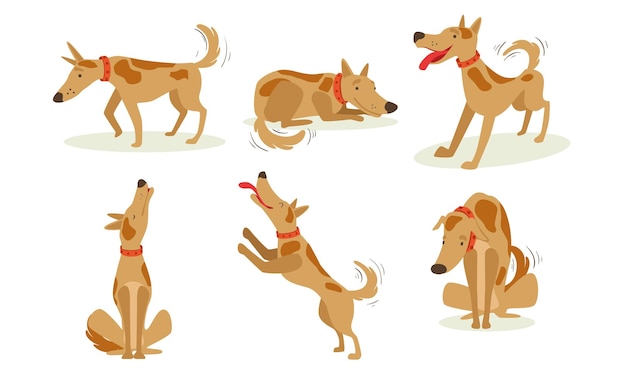 Collezione di divertenti cani marroni in situazioni diverse Set carino animato animato personaggio vettoriale