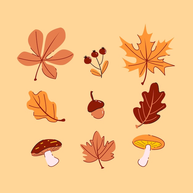 Collezione di elementi disegnati a mano per l'autunno
