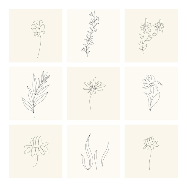 Collezione di elementi floreali di piante disegnate a mano design