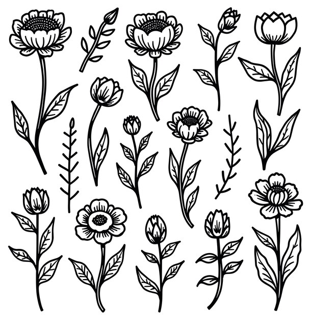 Collezione di elementi floreali disegnati a mano