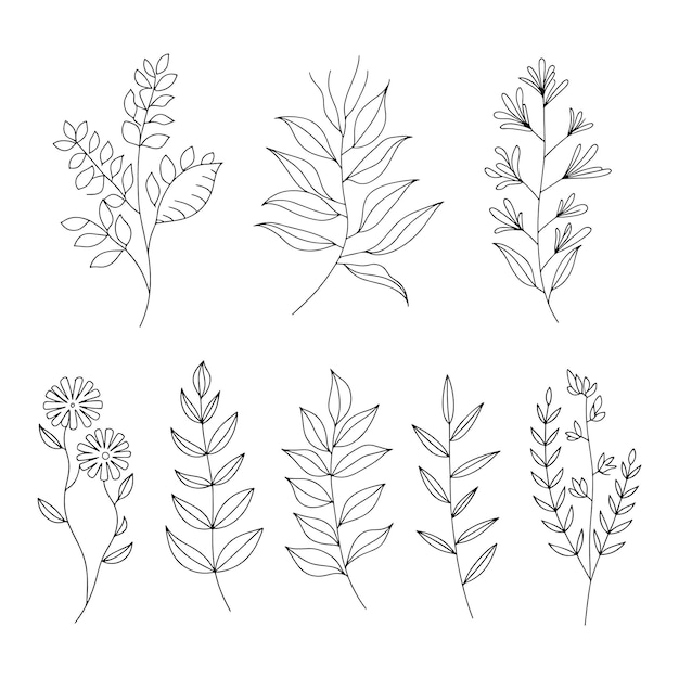 Collezione di elementi floreali e botanici disegnati a mano