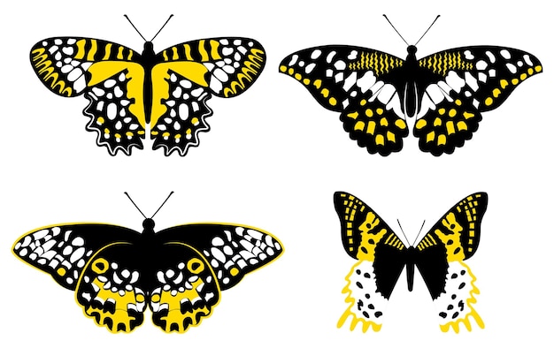 Collezione di farfalle Set di illustrazioni per farfalle