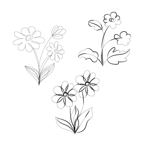 Collezione di fiori disegnati a mano