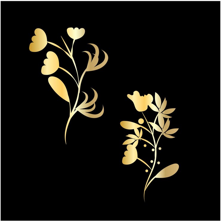 Vettore collezione di fiori disegnati a mano