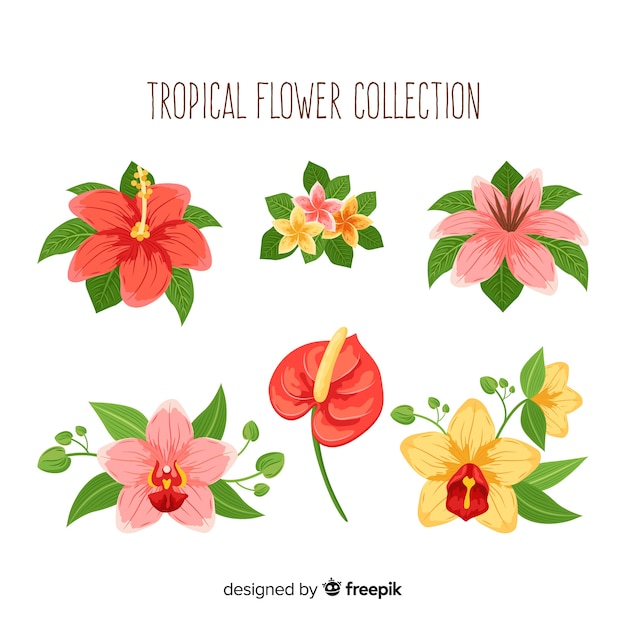 Collezione di fiori tropicali disegnata a mano incantevole