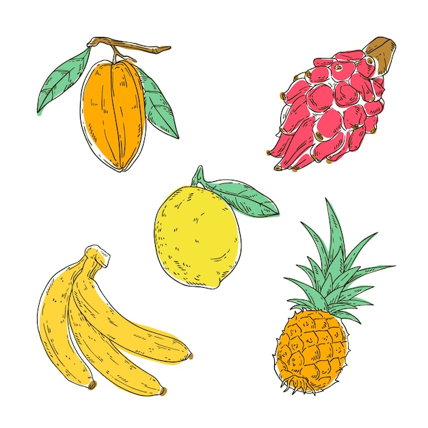 Collezione di frutta incisa lineare disegnata a mano