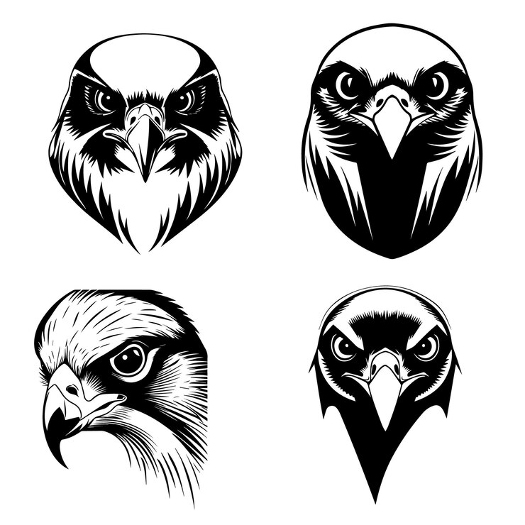 Collezione di illustrazioni vettoriali della silhouette della faccia dell'uccello Peregrine Falcon