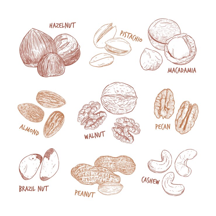 Collezione di noci