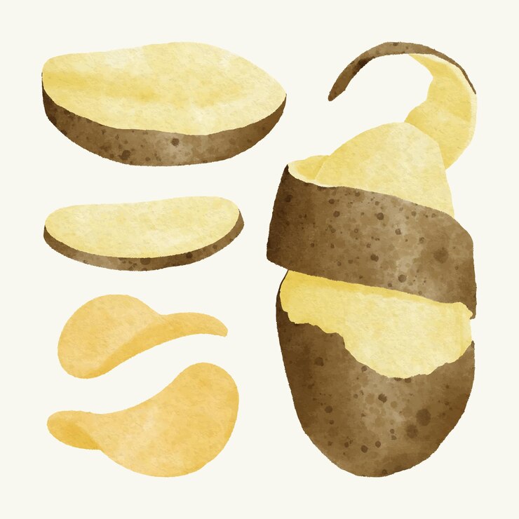 Vettore collezione di patate ad acquerello disegnate a mano