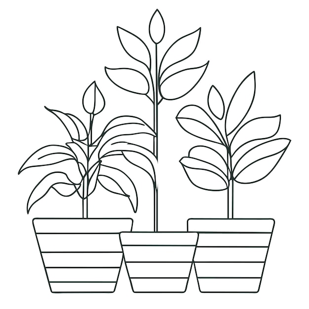 Collezione di piante d'appartamento disegnate a mano o Collezione di bellissime piante d'appartamento in vaso