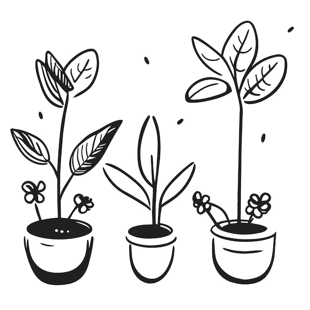 Collezione di piante d'appartamento disegnate a mano o Collezione di bellissime piante d'appartamento in vaso
